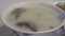 Close up shot of pork liver congee