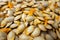 Close up shot of Pumpkin Seeds . Nutrient-packed pumpkin seeds: Rich in protein, fiber, and healthy fats. Boosts immunity,