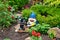 Close-up shot of a red-hatted garden dwarf placed next to a water sprinkler