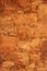 Close-up shot of a rough and textured rock wall in natural earthy tones
