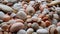 Close up shot of sea bed background. Macro shot of many beautiful colorful stones pebbles and seashells scattered around