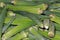 Close up shot of several Okra vegetables