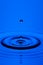 Close-up Shot of Two Blue Water Droplets On Tranquil Water Surface