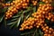 A close-up shot of vibrant, ripe sea-buckthorn berries clinging to a sturdy tree branch