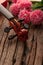 Close-up shot violin headstock orchestra instrumental over wooden background select focus shallow depth of field