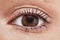 Close up shot of woman eye with hazel brown eyes