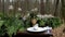 Close-up shot of the wooden table decorated with spruce branches, burning candles, glass and dish. Autumn forest