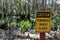 Close-up shot of a yellow and black sign against a backdrop of lush green trees in a forest setting