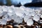 Close-up shots of hailstones of various sizes lying on the ground, showcasing the impact of their destructive force. Generative Ai