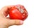 close-up shriveled red tomato covered with gray, white fluffy mold, concept mold fungi on surface products, spore contamination