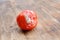 close-up shriveled red tomato covered with gray, white fluffy mold, concept mold fungi on surface products, spore contamination