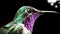 Close-up side portrait of a colorful hummingbird, made with generative ai