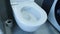 Close up side view of toilet flush. Side view of white toilet in bathroom with water flushing down into the toilet bowl. Water flu