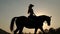Close-up silhouette of a woman on a horse.