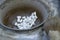 close up of silkworm cocoons in a container in an artisan silk factory, out of focus brush for spinning the yarns