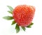 Close-up of single delicious bio strawberry