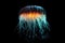 close-up of a single glowing jellyfish in dark water