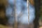 Close-up of a single icicle against natural blurred backdrop with copy space