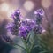 A close-up of a single lavender plant with purple flowers in the foreground and a slight blurred background AI generated