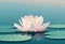 close-up of a single lotus flower floating on the surface of a tranquil blue pond (AIgen)