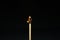 Close up Single matchstick burning isolated on black background