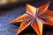 close-up of a single origami star
