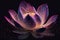 close-up of a single pink lotus flower with purple light illuminating the petals (AIgen)