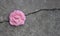 Close-up of Single softness pink rose flower against the background of an old scratched stone wall