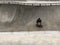 Close up skateboarder at Venice Beach skate park pool