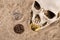 Close up on skull biting bitcoin over sand background.