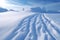 close-up of sled tracks on the fresh snow