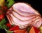 Close up of a sliced ham on a black background