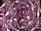 Close up of a sliced red cabbage showing layers of densely packed leaves