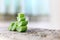 Close-up slices of green fresh aloe vera plant or stalk or leaves stack or stacked with water dropping