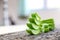 Close-up slices of green fresh aloe vera plant or stalk or leaves stack or stacked with water dropping