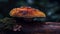 Close up of slimy fly agaric cap, a poisonous toadstool generated by AI