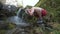 CLOSE UP, SLOW MOTION: Hiker stops to wash his face with the glassy river water on a sunny summer day. Guy refreshing