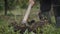 Close-up slow motion shot of farmer hands using a hoe an agriculture hand tool digging and moving soil preparing for young tree