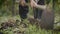 Close-up slow motion shot of farmer hands using a hoe an agriculture hand tool digging and moving soil preparing for young tree