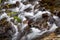 Close-up of the slow water flow of a mountain stream