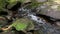 Close up of the small creek river flowing around the rocks