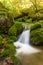 Close up of a small forest stream near Third Vault Falls