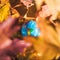 Close up of a small globe lies on colorful autumn maple leaves in the autumn forest. Concept. Selective focus.