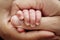 Close-up of the small hand of the child and the hand of the mother and father.