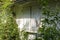 Close-up on a small house, whose plants colonize the wall, in the center, a light wooden shutter, closed