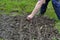 A close-up of a small piece of dug up dark heavy wet soil, large lumps of soil with roots, next to lush green grass. The hand of a