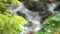 Close up of small pine tree branch moving on light breeze with blurred mountain stream with clear blue water flowing on background