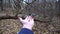 Close up of small titmouse eating walnuts from arm of young guy outdoor. Beautiful tomtit pecking food from a male hand