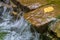 Close-up of small waterfall running over rocks with autumn leaves