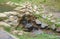 Close up of a small waterfall spilling over moss covered rocks in regional park. Handmade river waterfall